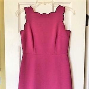 Loft Pink Sleeveless Scalloped Dress